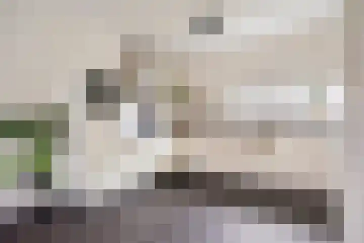 Sporenring 250 Goirle thumbnail 5