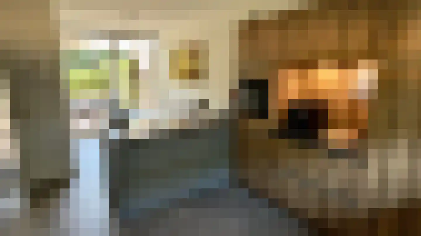 Sporenring 254 Goirle thumbnail 10