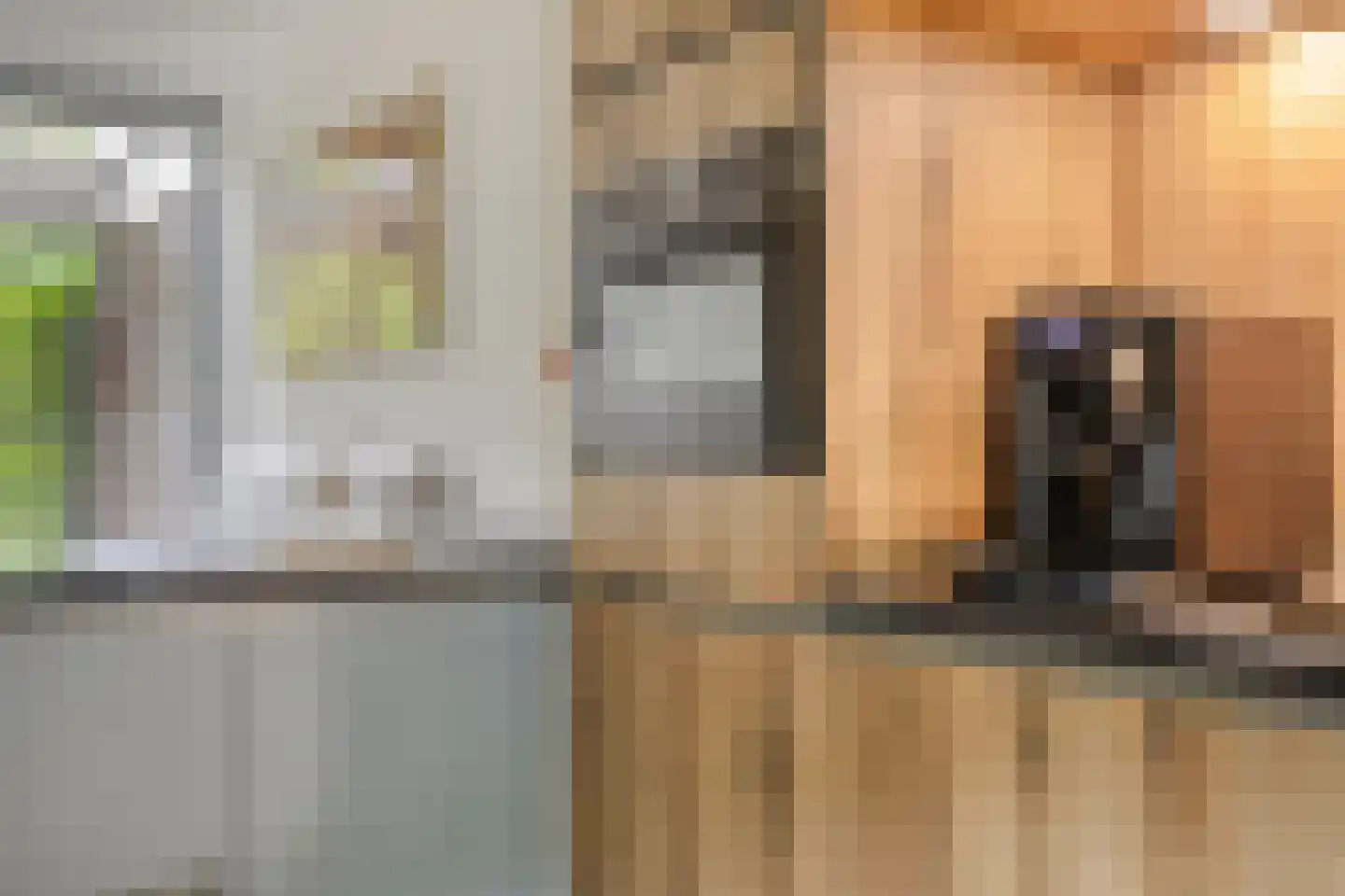Sporenring 254 Goirle thumbnail 11
