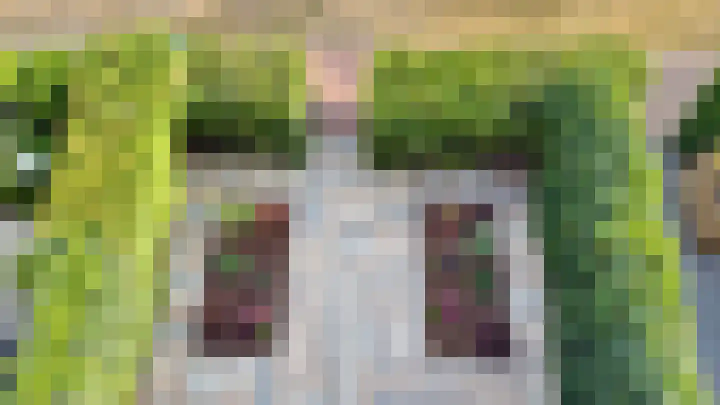 Sporenring 254 Goirle thumbnail 17
