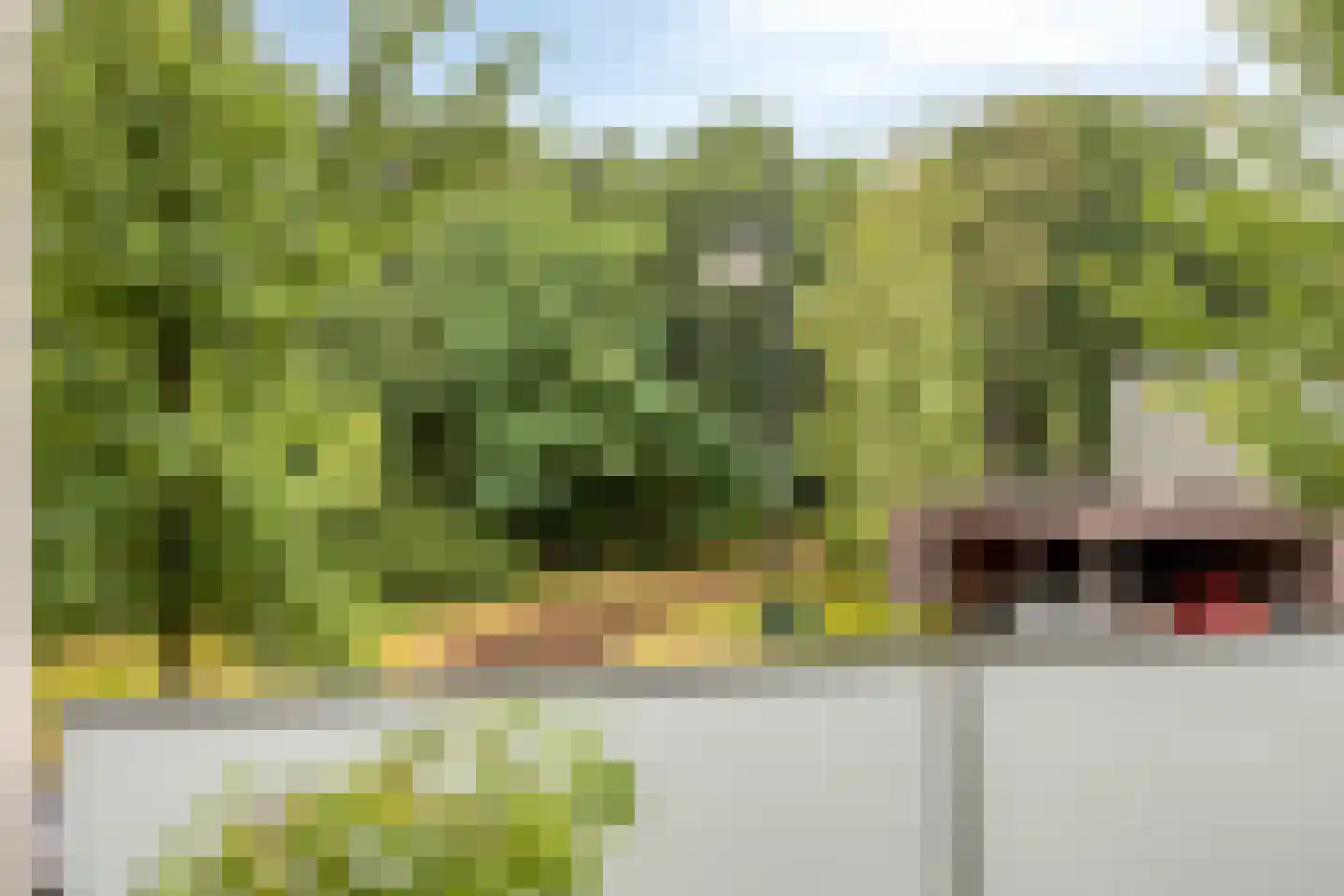 Sporenring 254 Goirle thumbnail 24
