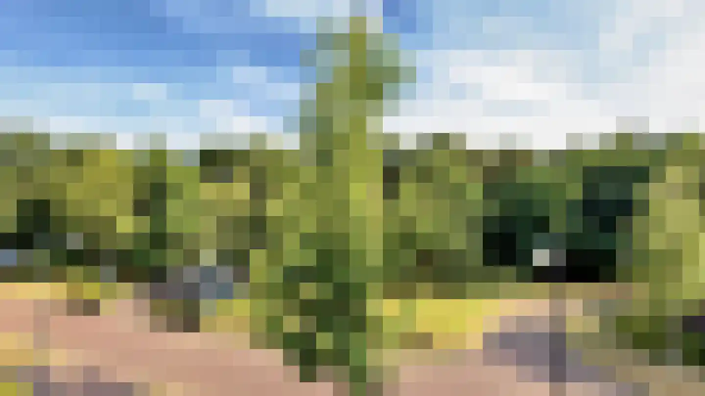 Sporenring 254 Goirle thumbnail 38