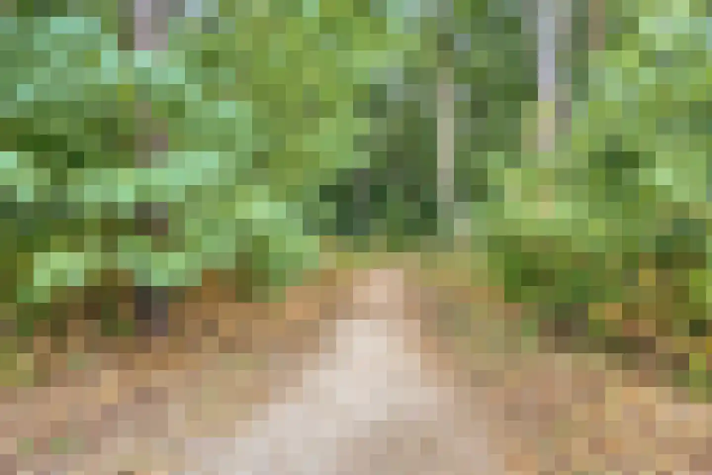 Sporenring 254 Goirle thumbnail 47