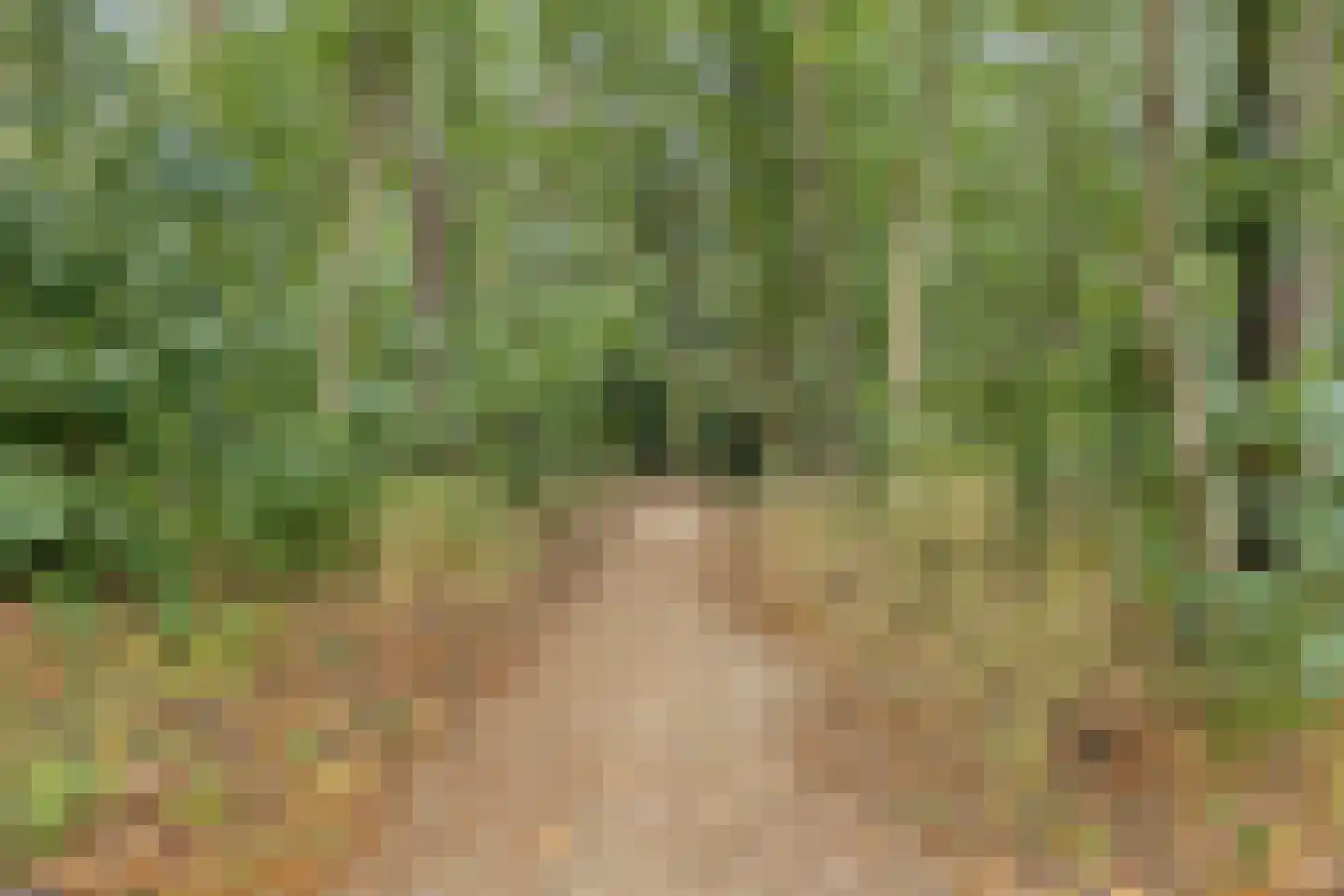 Sporenring 254 Goirle thumbnail 48