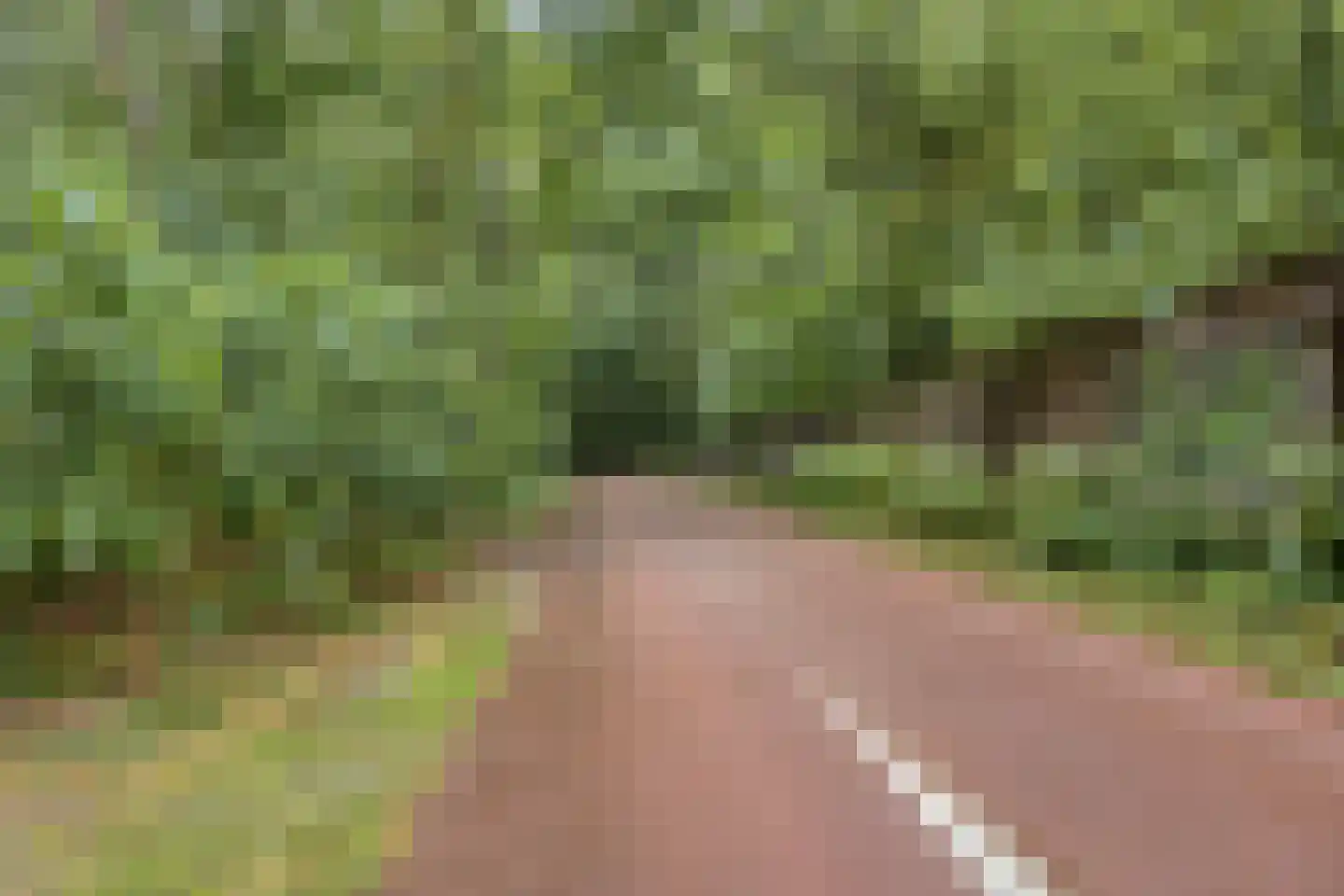 Sporenring 254 Goirle thumbnail 49