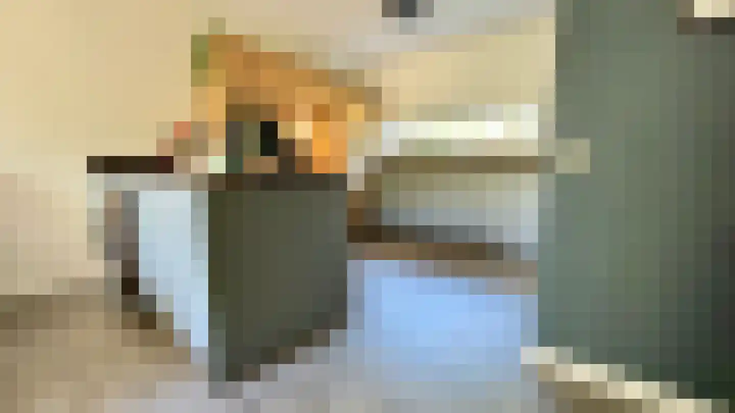 Sporenring 254 Goirle thumbnail 6