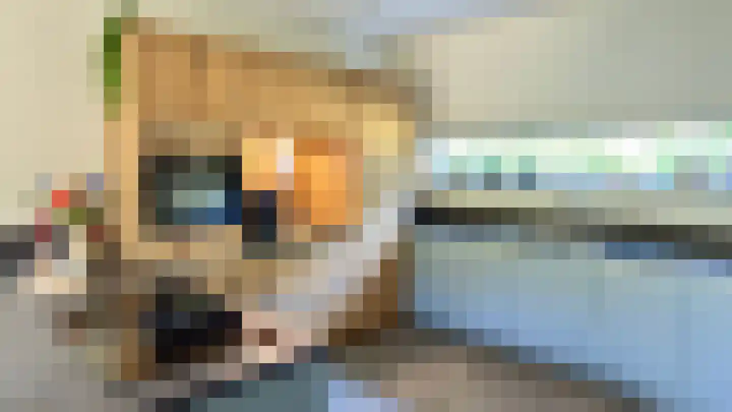 Sporenring 254 Goirle thumbnail 7