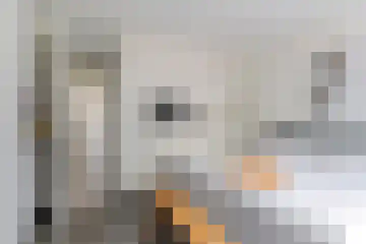Sporenring 269 Goirle thumbnail 14