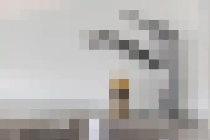 Sporenring 269 Goirle thumbnail 21