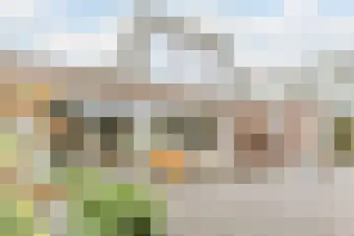 Sporenring 269 Goirle thumbnail 34
