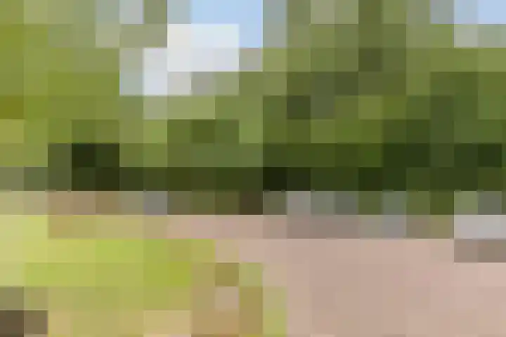 Sporenring 269 Goirle thumbnail 38