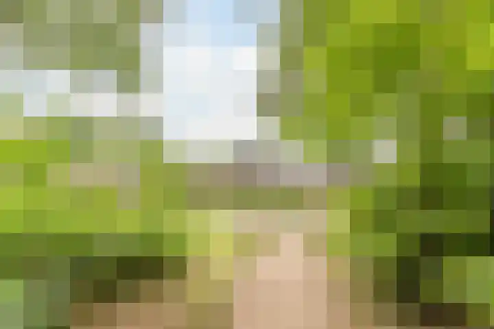Sporenring 269 Goirle thumbnail 41