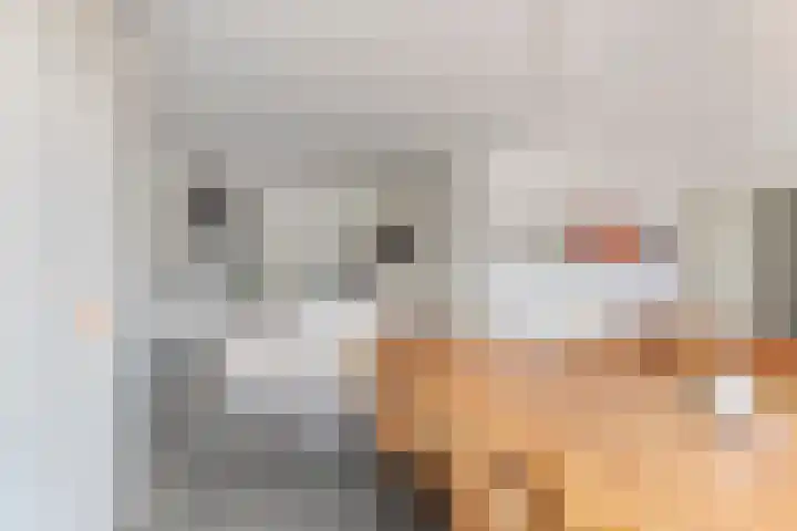 Sporenring 269 Goirle thumbnail 6