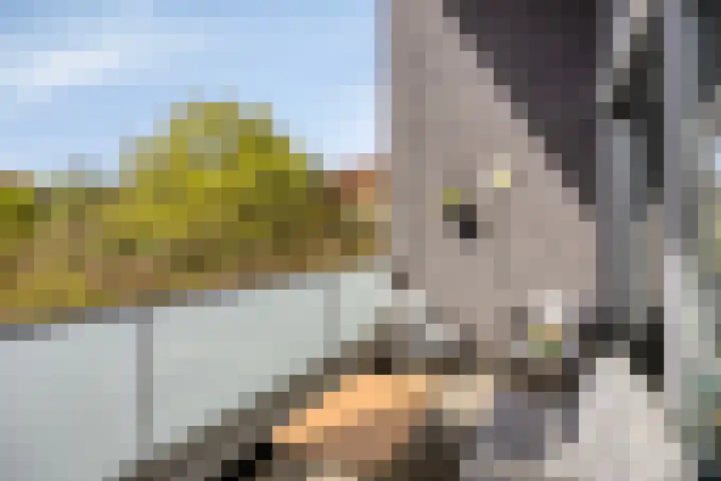 Sporenring 274 12 Goirle thumbnail 13