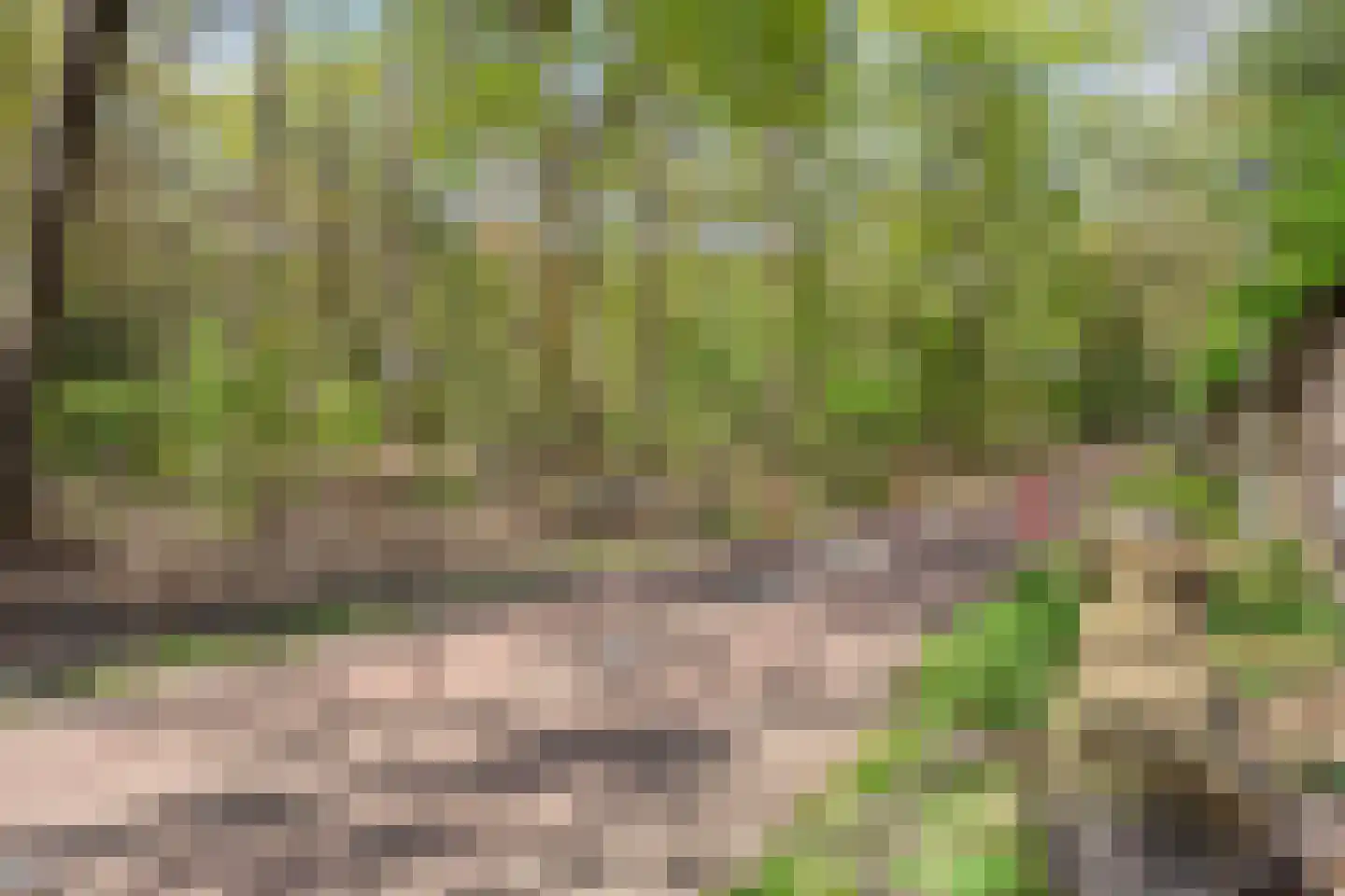 Sporenring 274 12 Goirle thumbnail 38