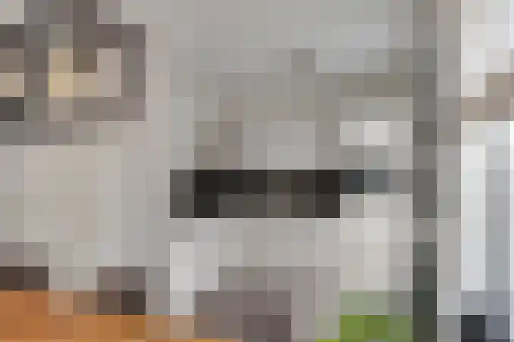 Sporenring 40 Goirle thumbnail 9