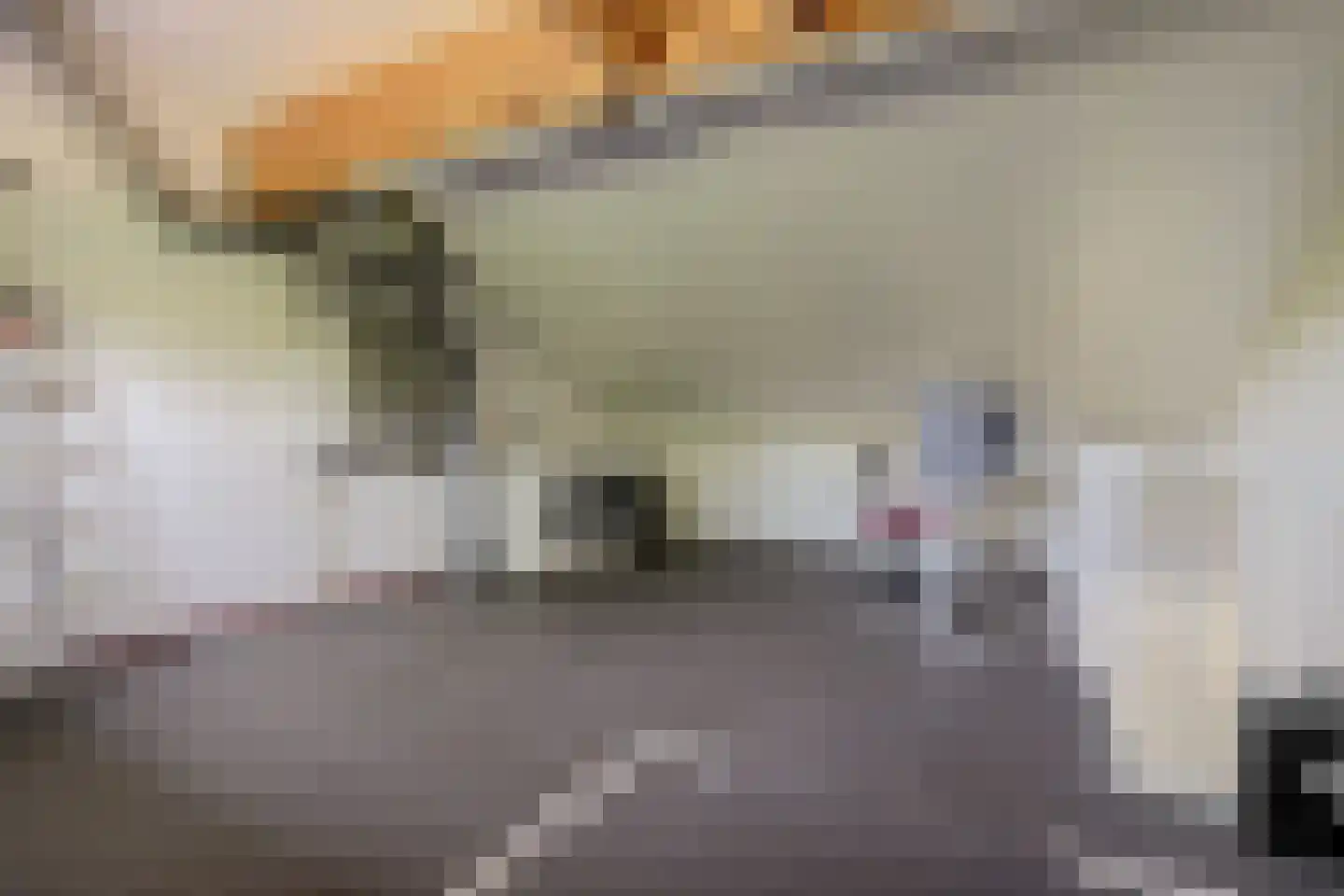 Sporenring 74 Goirle thumbnail 24