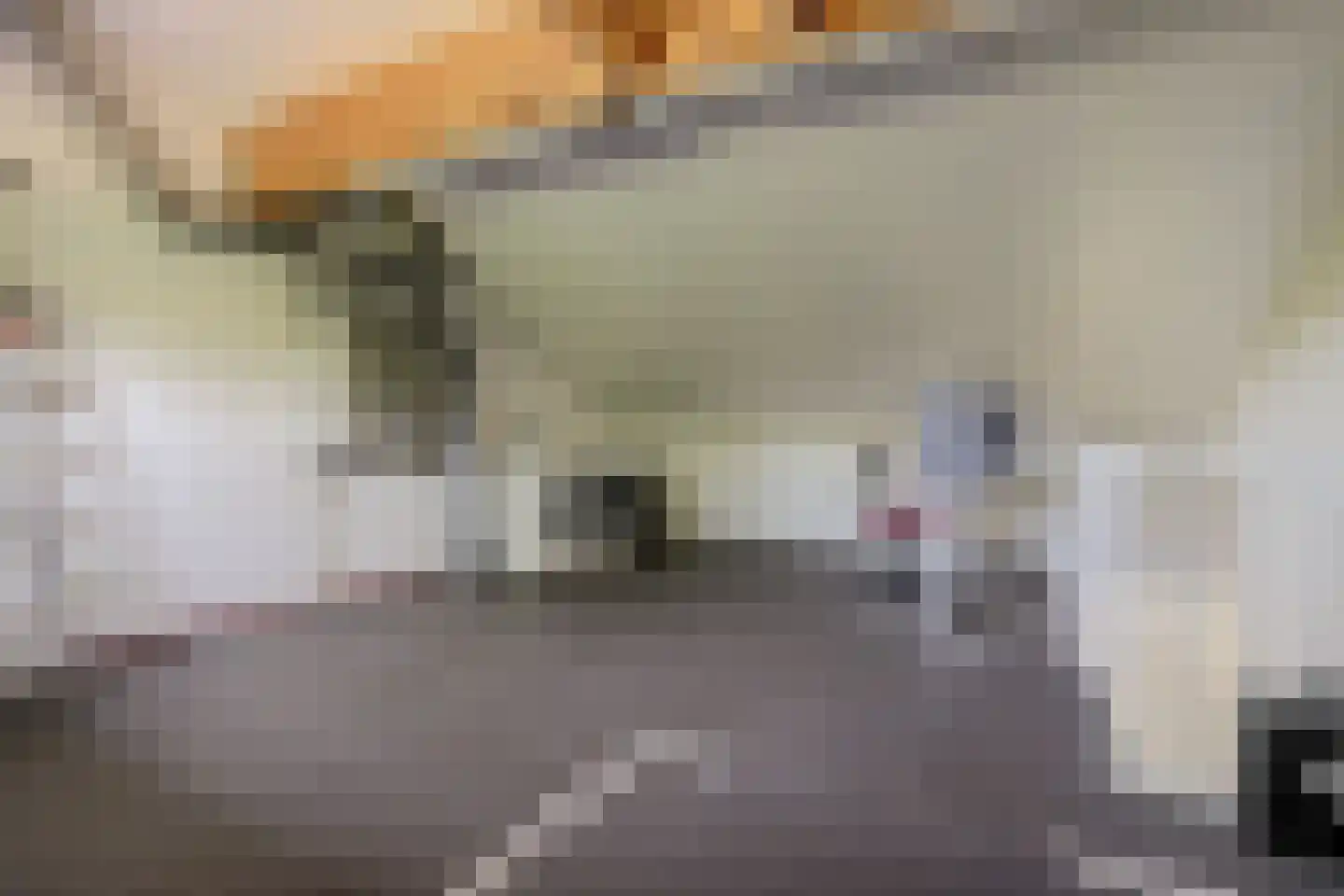 Sporenring 74 Goirle thumbnail 24