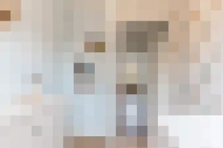 Sporenring 78 Goirle thumbnail 21