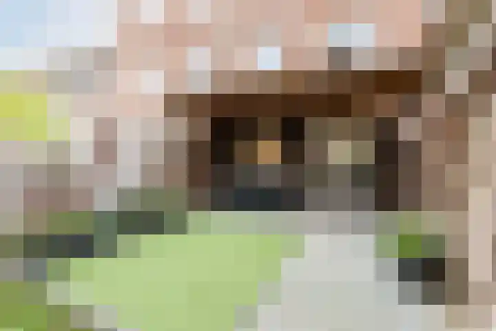 Sporenring 78 Goirle thumbnail 35
