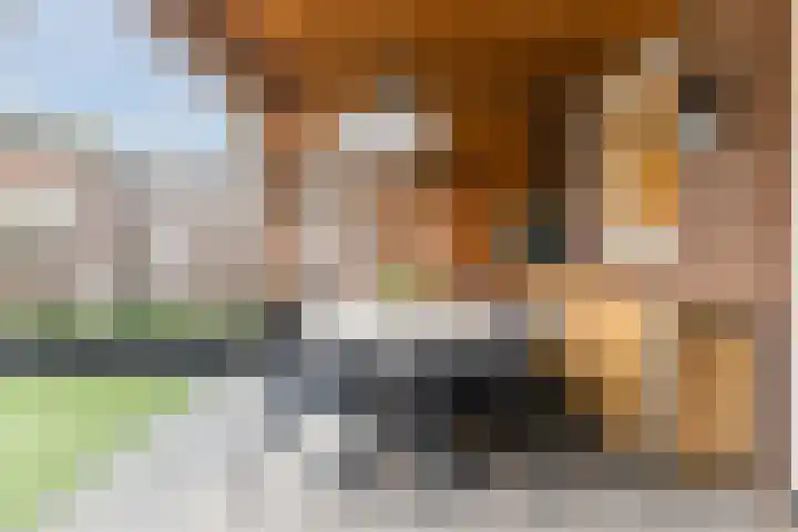 Sporenring 78 Goirle thumbnail 36