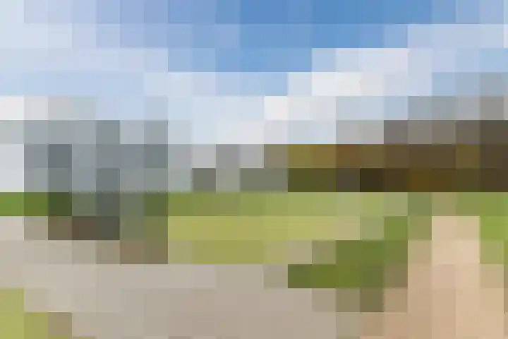 Sporenring 78 Goirle thumbnail 42