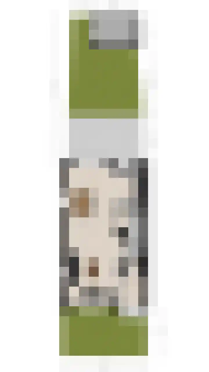 Sporenring 78 Goirle thumbnail 47