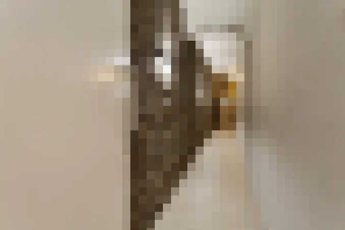 Sporenstraat 7 B Maastricht thumbnail 32