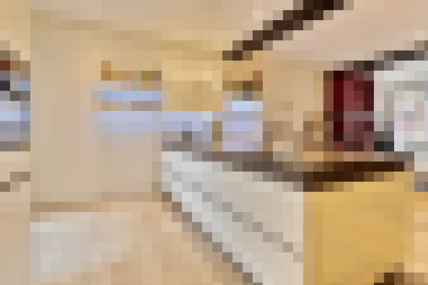 Sporenstraat 7 Maastricht thumbnail 9