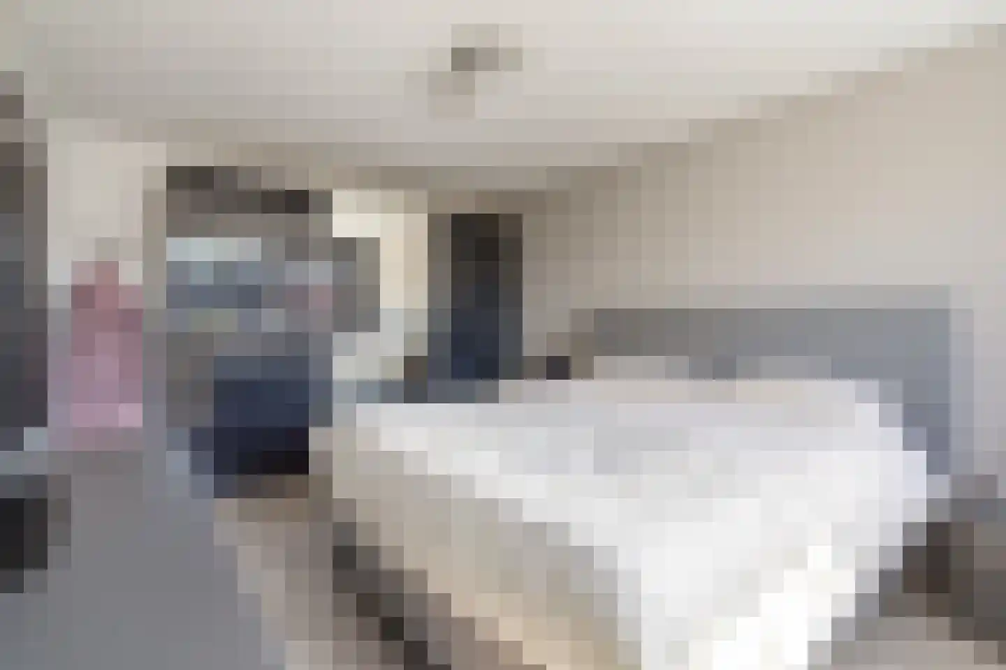 Sporenweide 26 Breda thumbnail 20