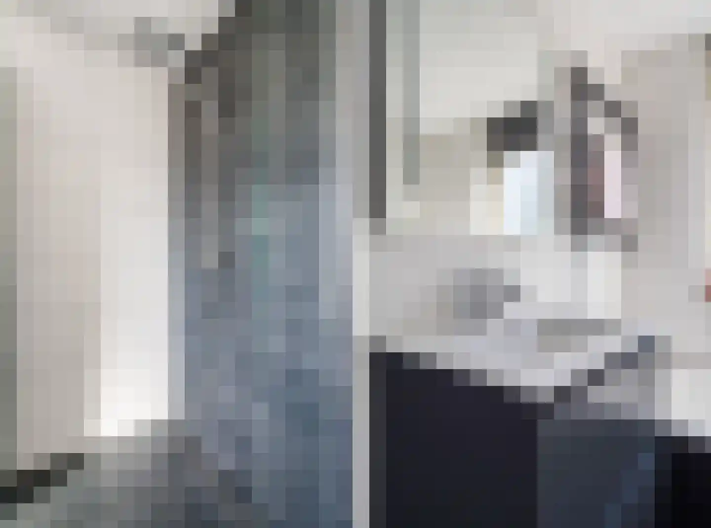 Sporenweide 26 Breda thumbnail 27