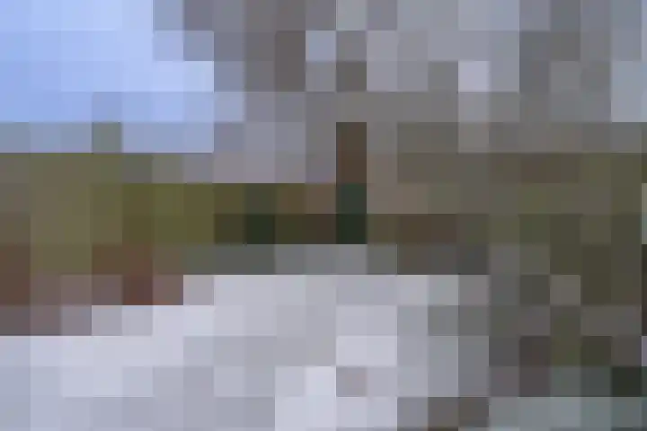 Sporenweide 8 Breda thumbnail 30