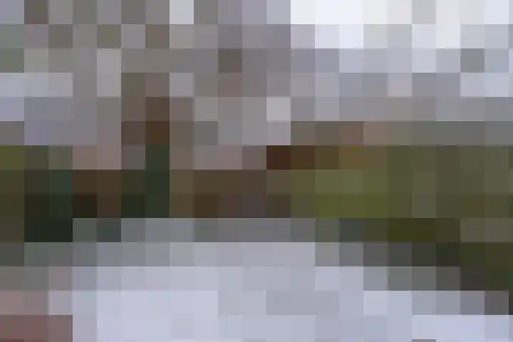 Sporenweide 8 Breda thumbnail 31