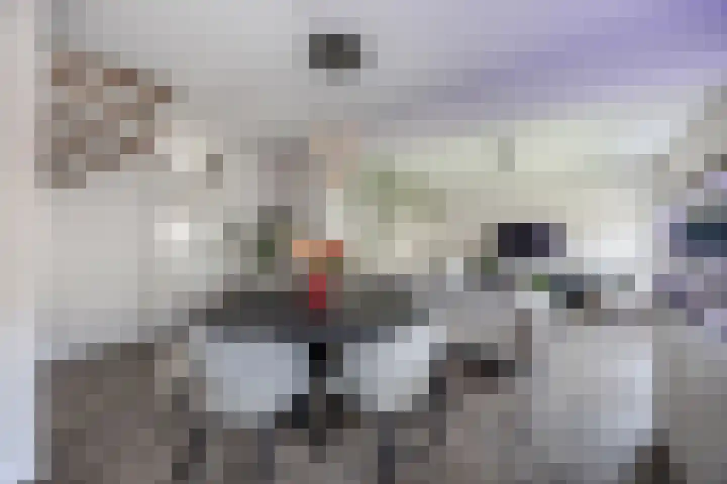 Sporkehout 13 Huizen thumbnail 8