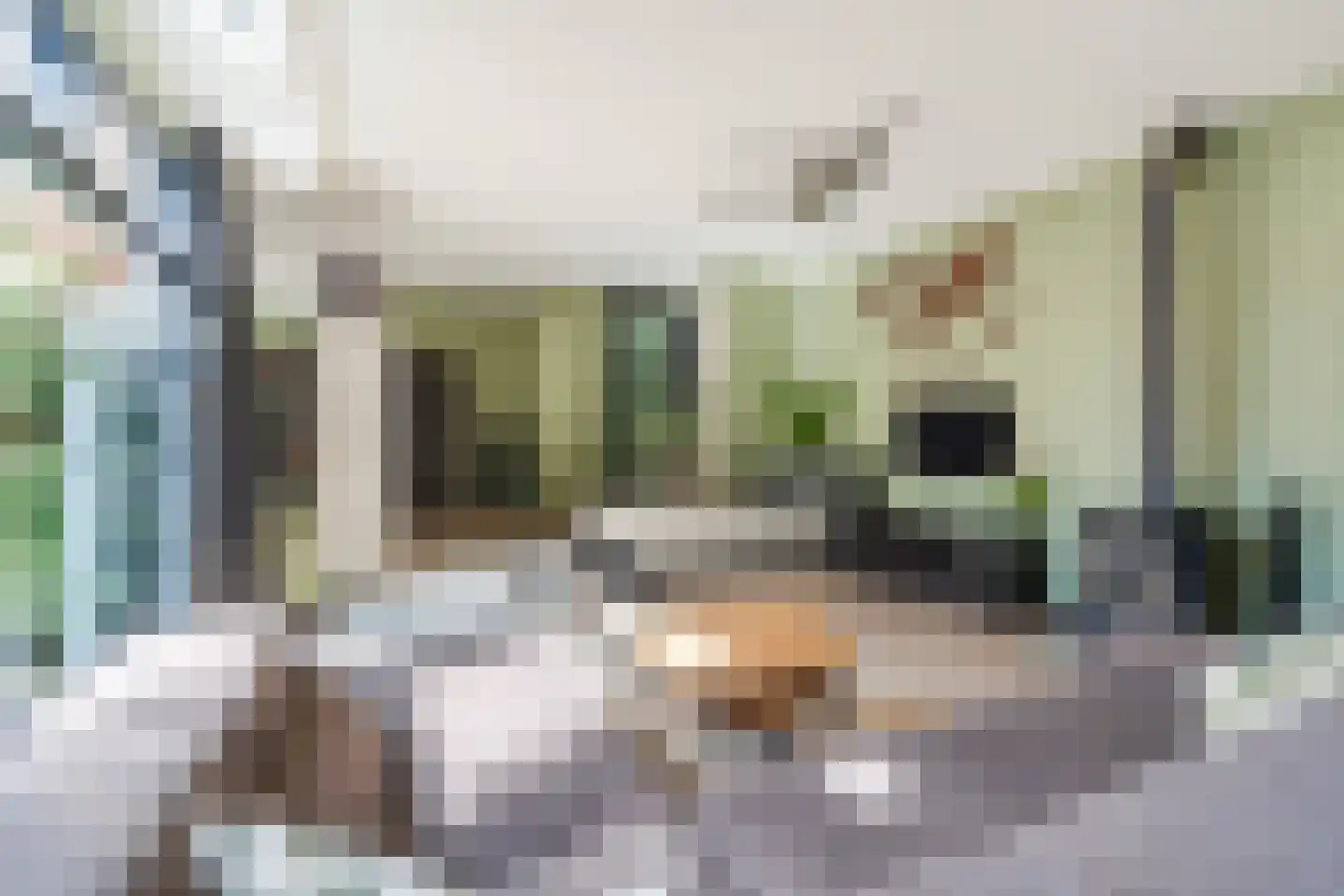 Sporkehout 23 Geldrop thumbnail 12