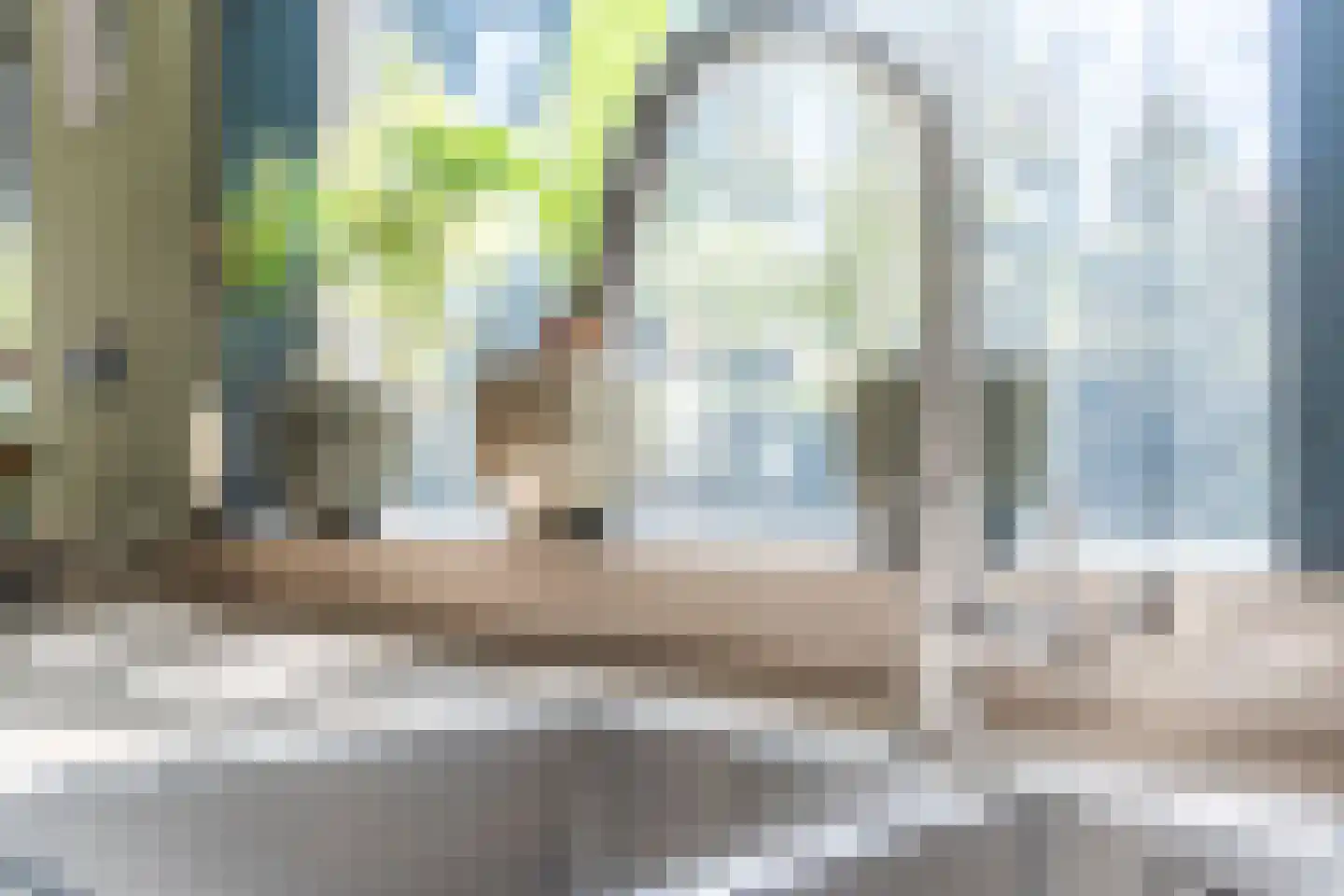 Sporkehout 23 Geldrop thumbnail 32