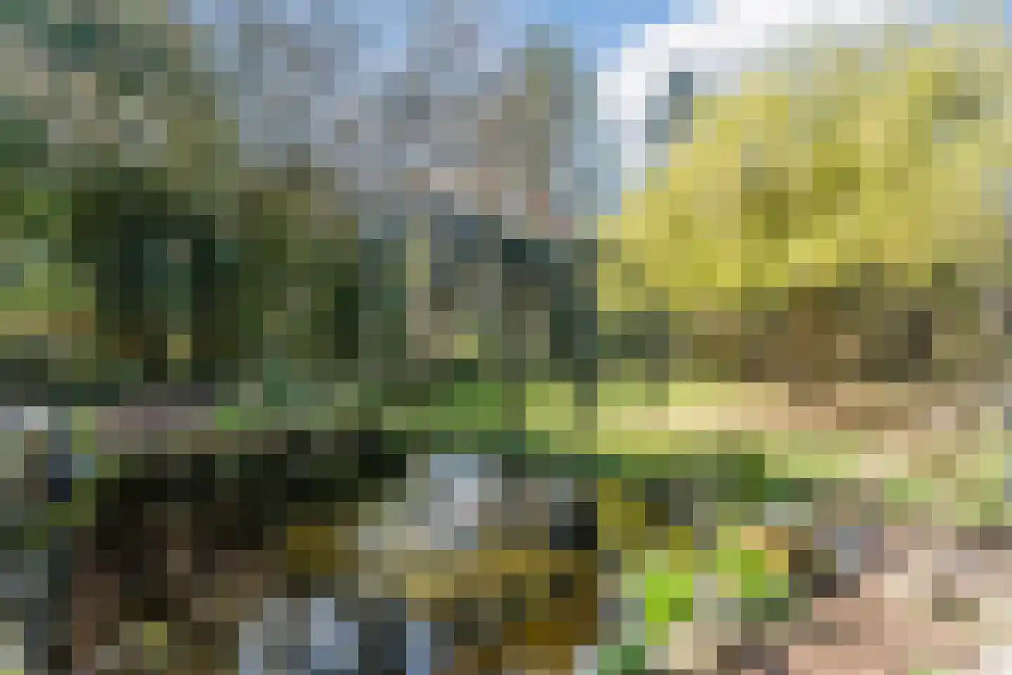 Sporkehout 23 Geldrop thumbnail 4