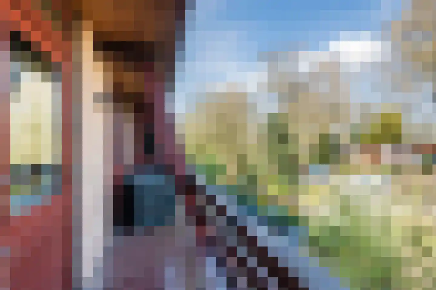 Sporkehout 23 Geldrop thumbnail 59