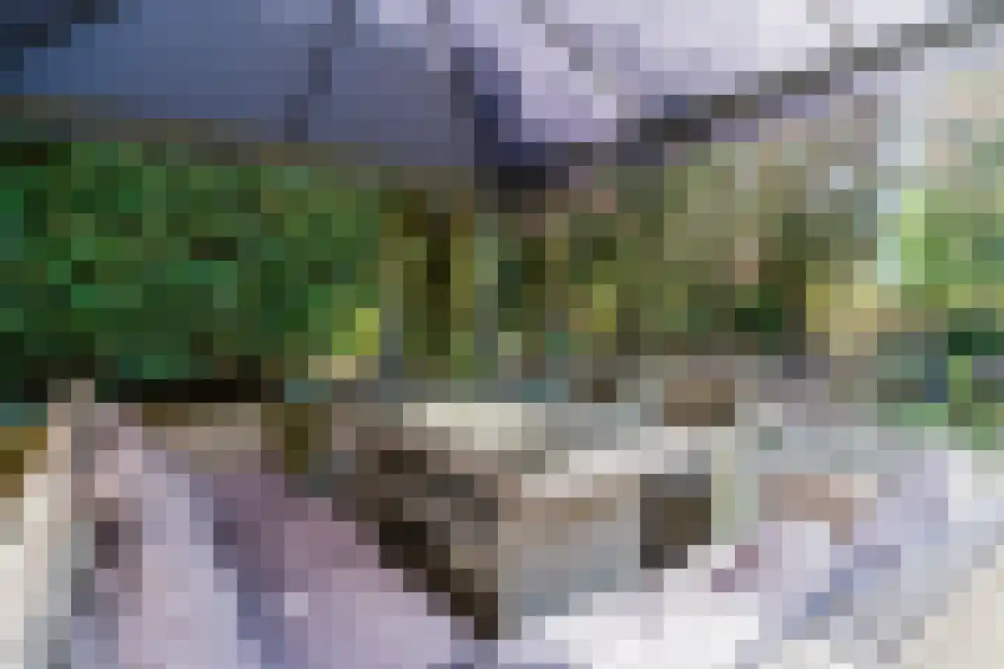 Sporkehout 23 Geldrop thumbnail 61