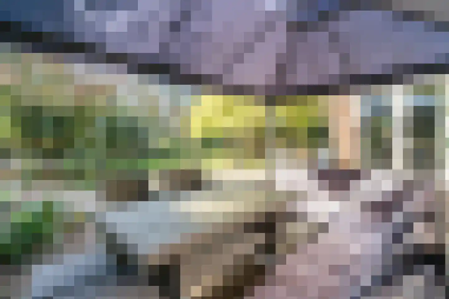 Sporkehout 23 Geldrop thumbnail 62