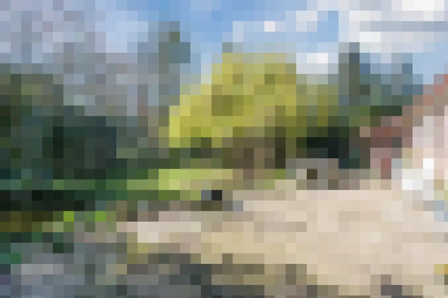 Sporkehout 23 Geldrop thumbnail 64