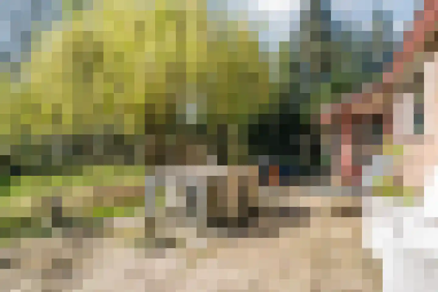 Sporkehout 23 Geldrop thumbnail 65