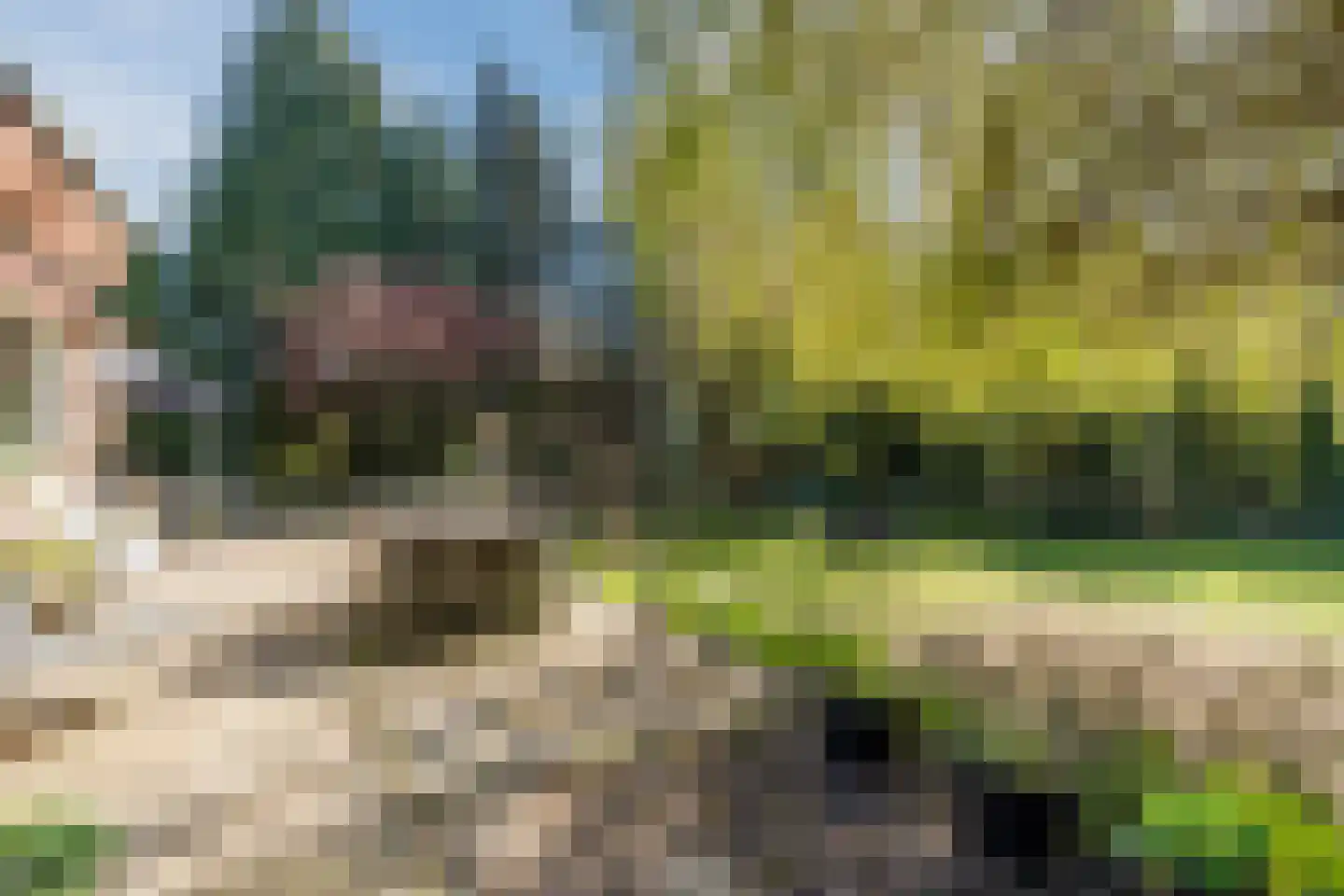 Sporkehout 23 Geldrop thumbnail 66