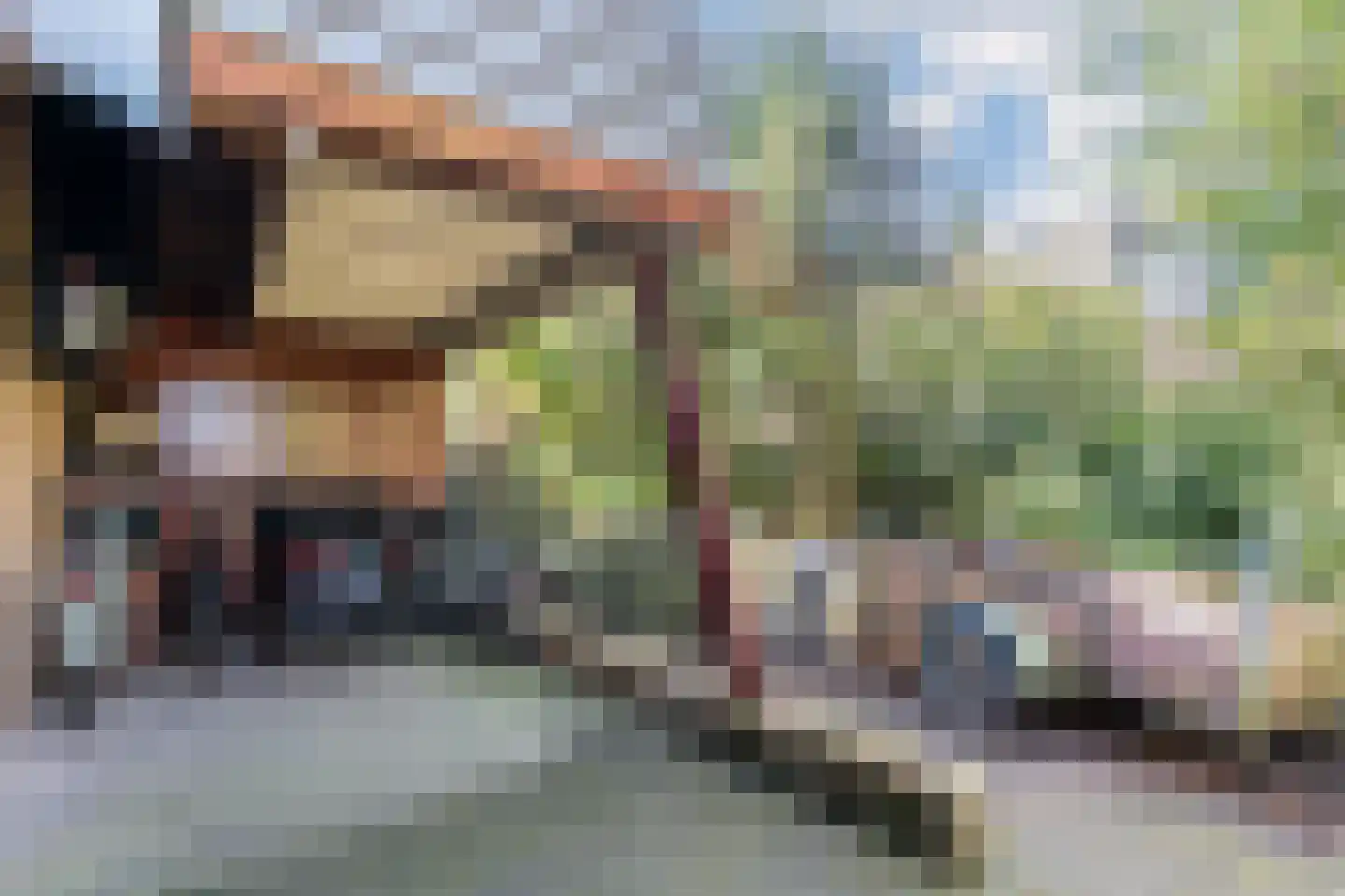 Sporkehout 23 Geldrop thumbnail 67