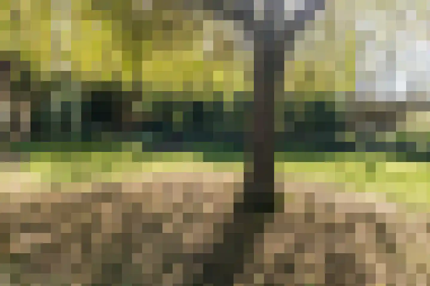 Sporkehout 23 Geldrop thumbnail 68