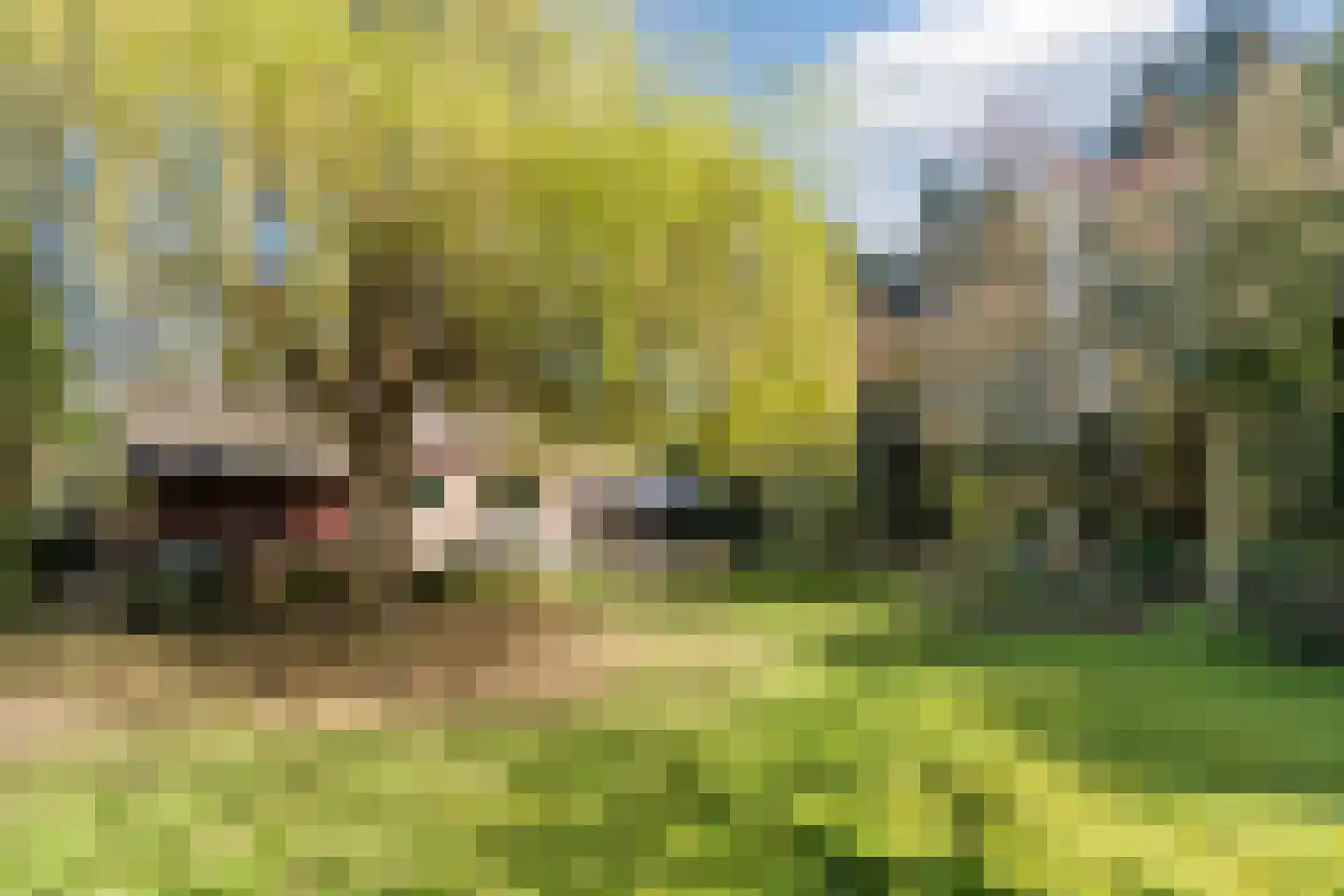 Sporkehout 23 Geldrop thumbnail 69