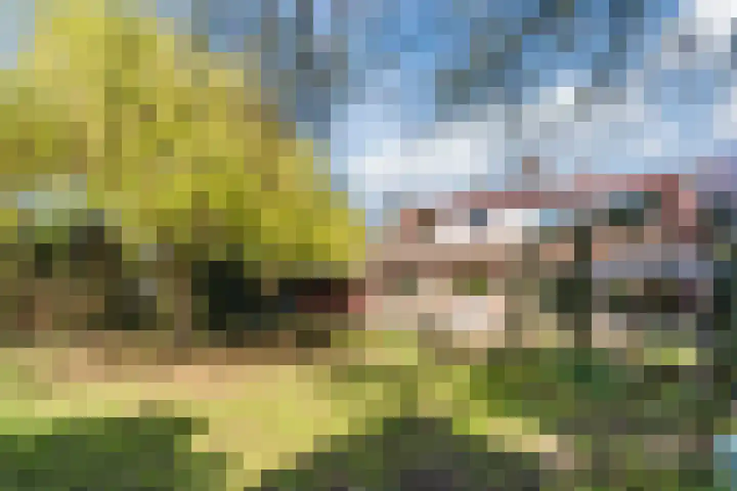Sporkehout 23 Geldrop thumbnail 70
