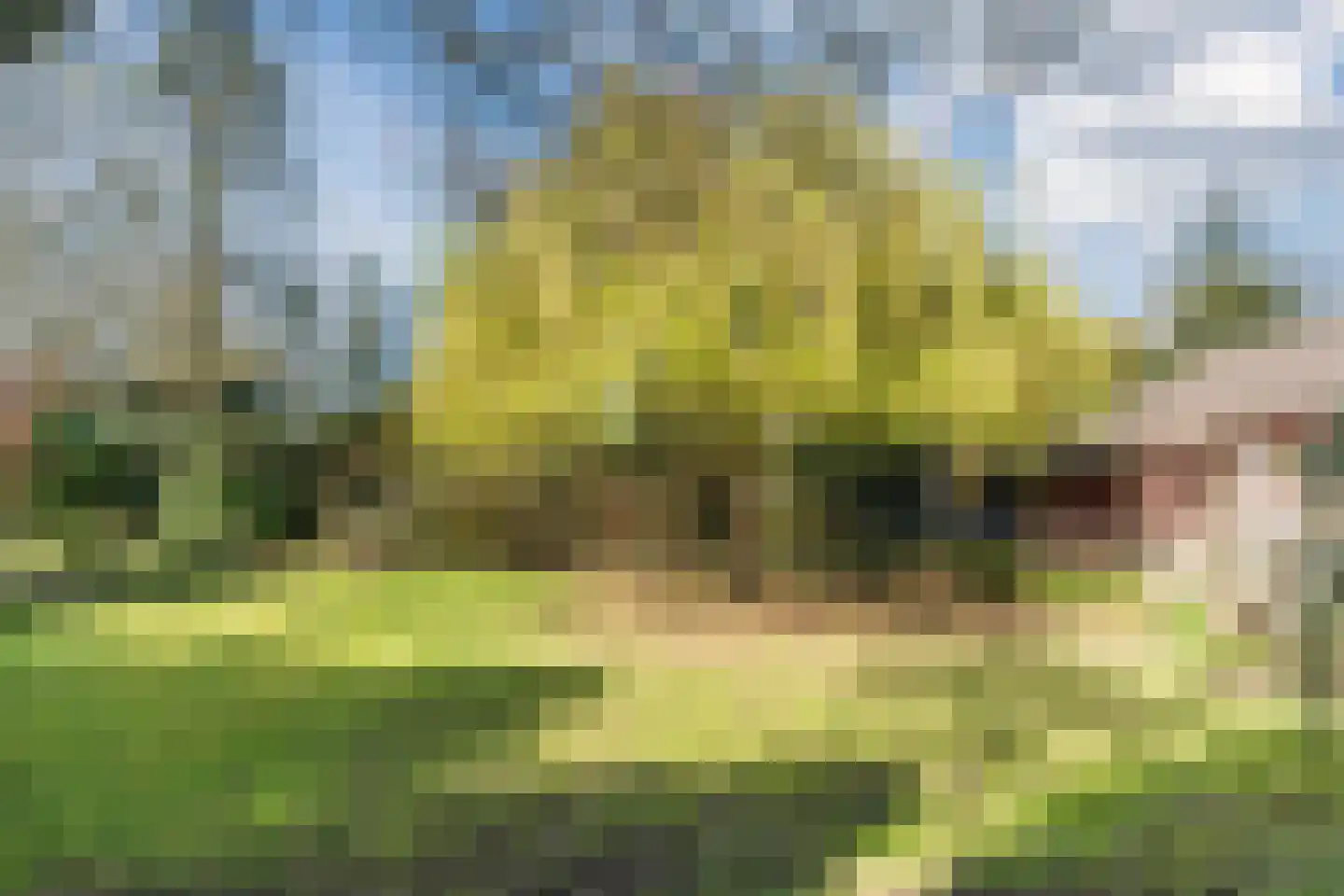 Sporkehout 23 Geldrop thumbnail 72