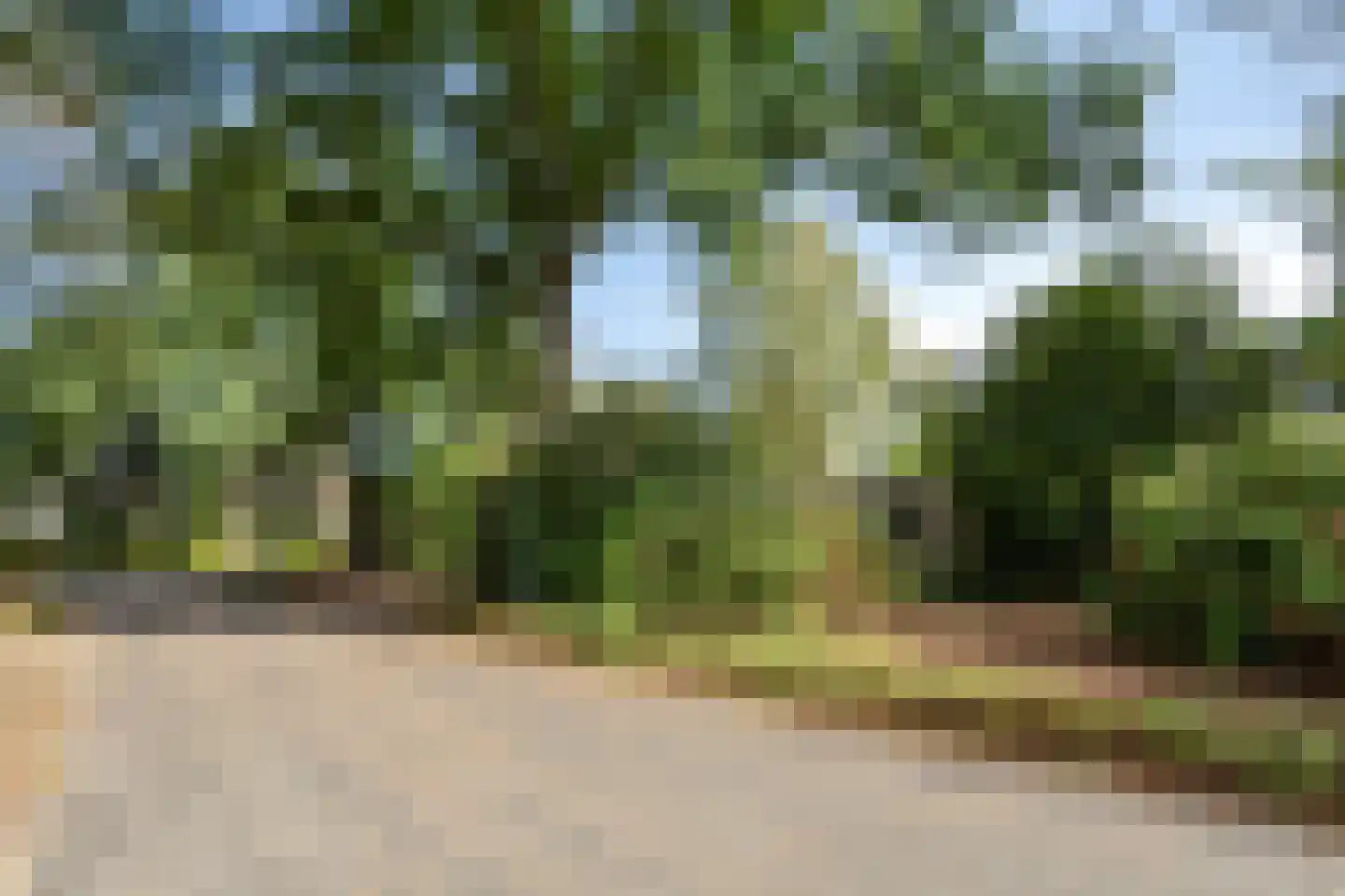 Sporkehout 36 Geldrop thumbnail 12