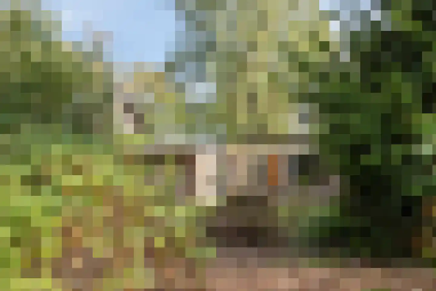 Sporkehout 36 Geldrop thumbnail 13